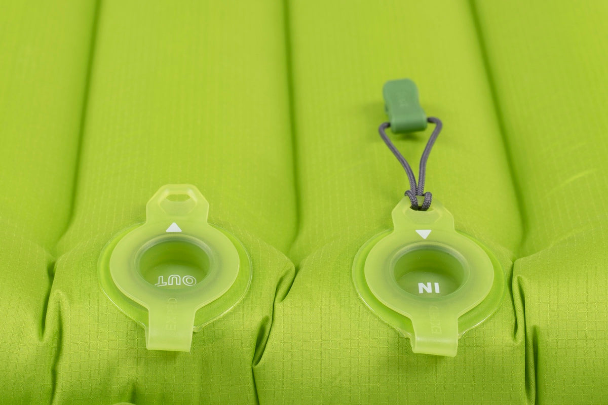 394_Ultra_lichen_valves_close_3832x2555